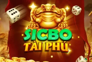 imgi 171 Sicbo tai phu 1687172661